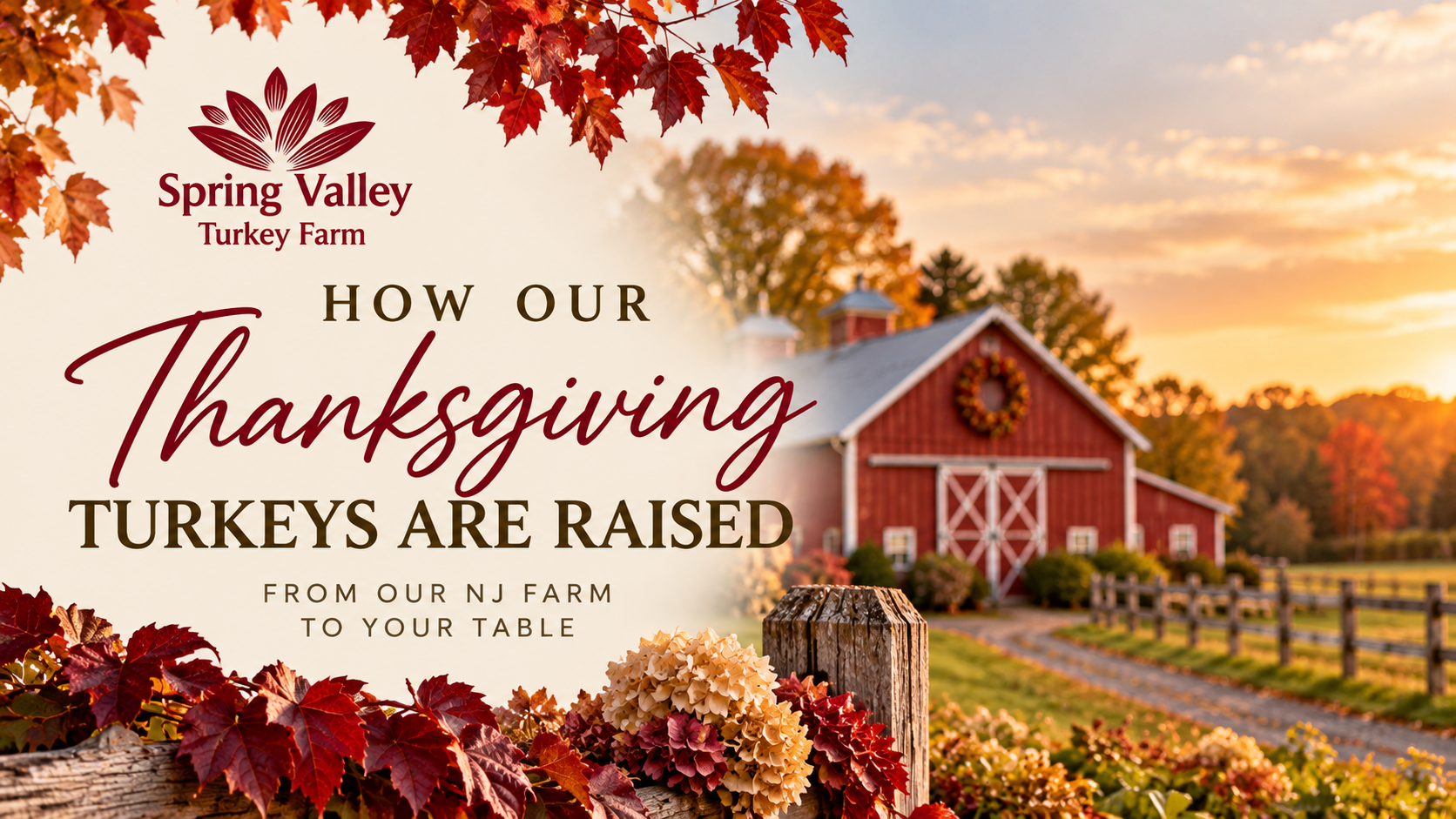 How Our Thanksgiving Turkeys Are Raised: From Our NJ Farm to Your Table